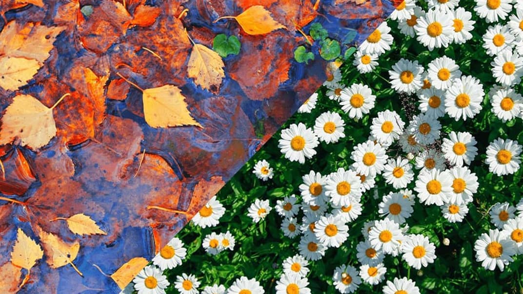 Come Rain or Shine – Why using water wisely is important all-year round- image