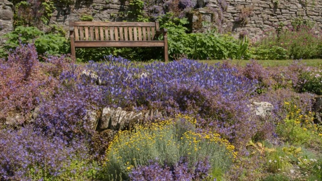 Planning a drought-proof garden for 2027 - image