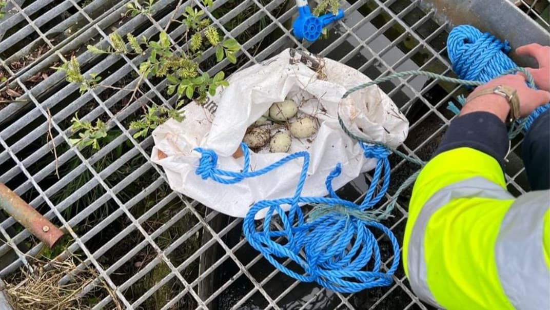 A Quacking Rescue: Five adorable ducklings rescued from tank by quick-thinking South West Water teams- image