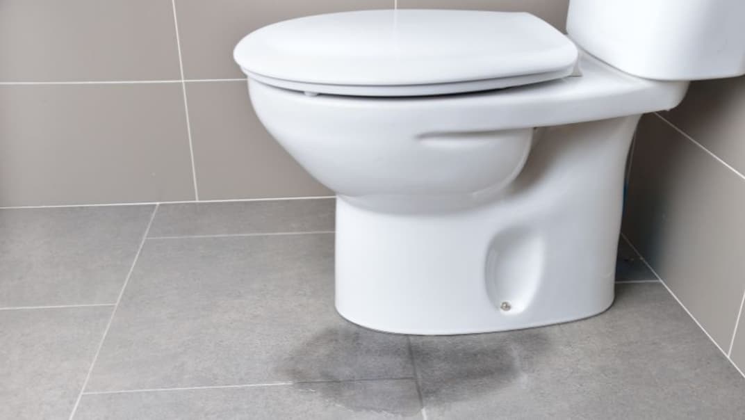 Have you checked your loo? South West Water urges customers to take action on hidden toilet leaks- image