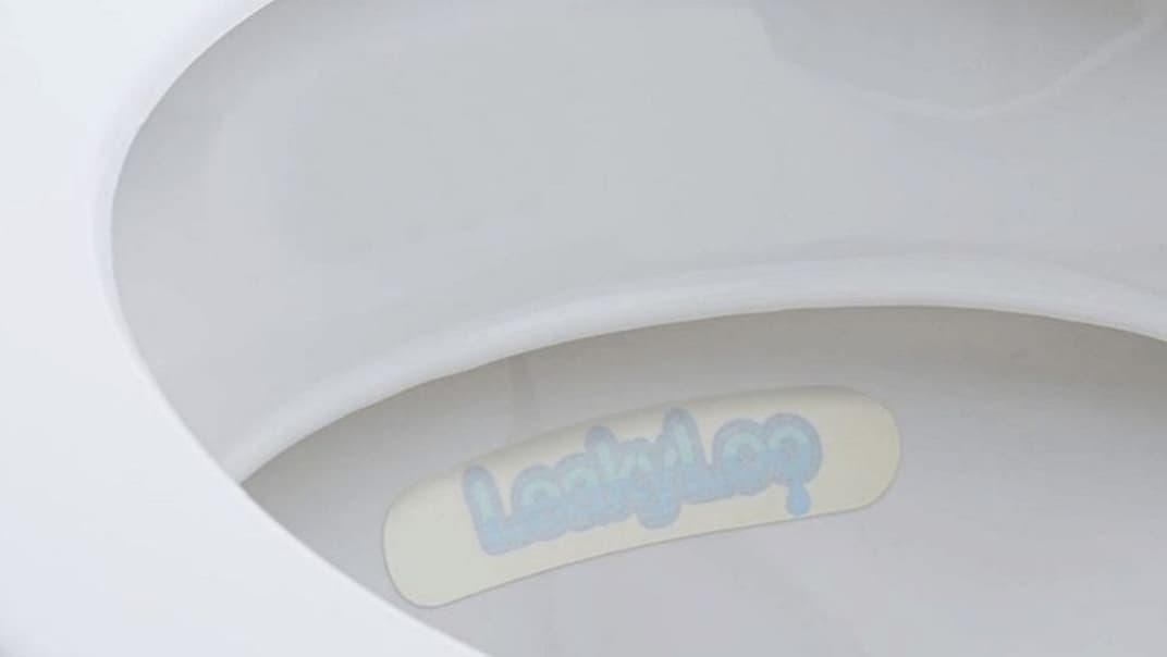 South West Water marks Water Saving Week with a quick and easy toilet test to check for hidden leaks- image