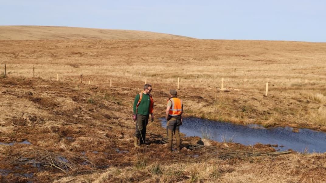 World Peatlands Day: South West Water celebrates partnership striving to heal the South West’s vital peatlands- image