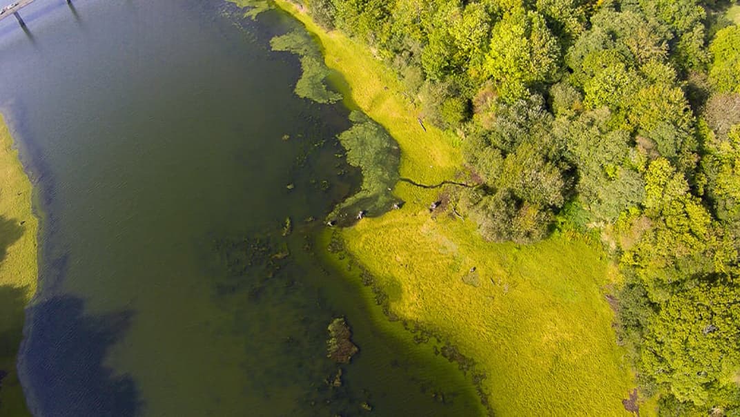 South West Water to lead groundbreaking project to predict harmful algal blooms- image