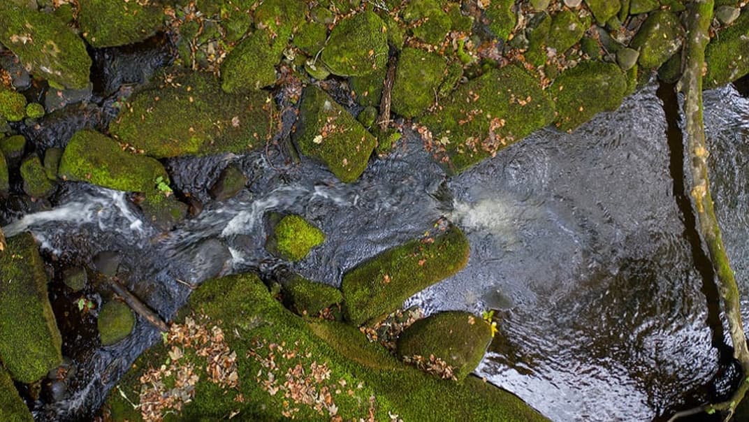 £2 million for community-led initiatives supporting environmental resilience and biodiversity- image