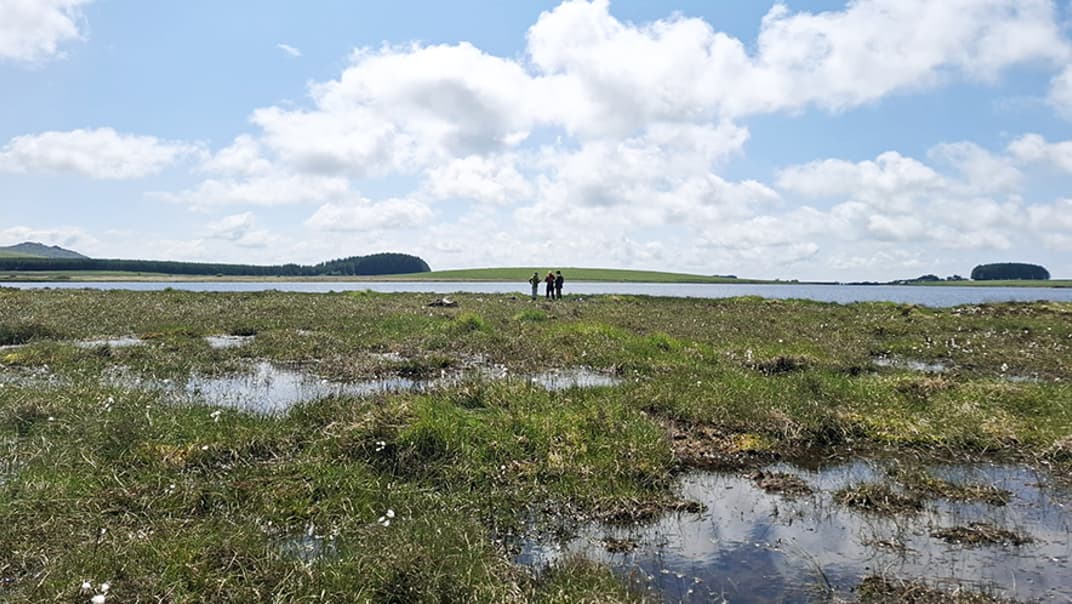South West Water celebrates World Bog Day after successful peatland restoration at Crowdy Marsh - where wildlife is now thriving- image
