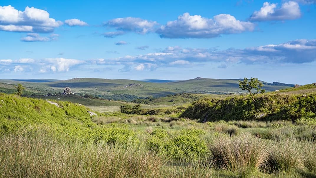 South West Water is tackling storm overflow spills on Dartmoor- image