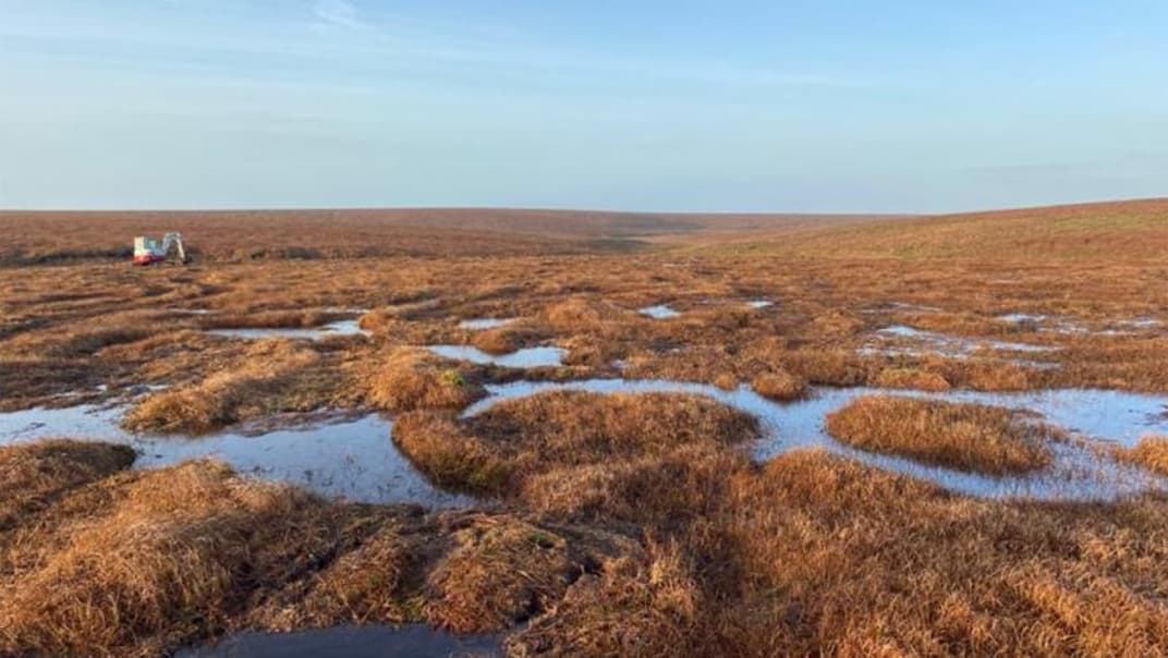 Peatland restoration resumes on Dartmoor as partnership launches new season of work- image