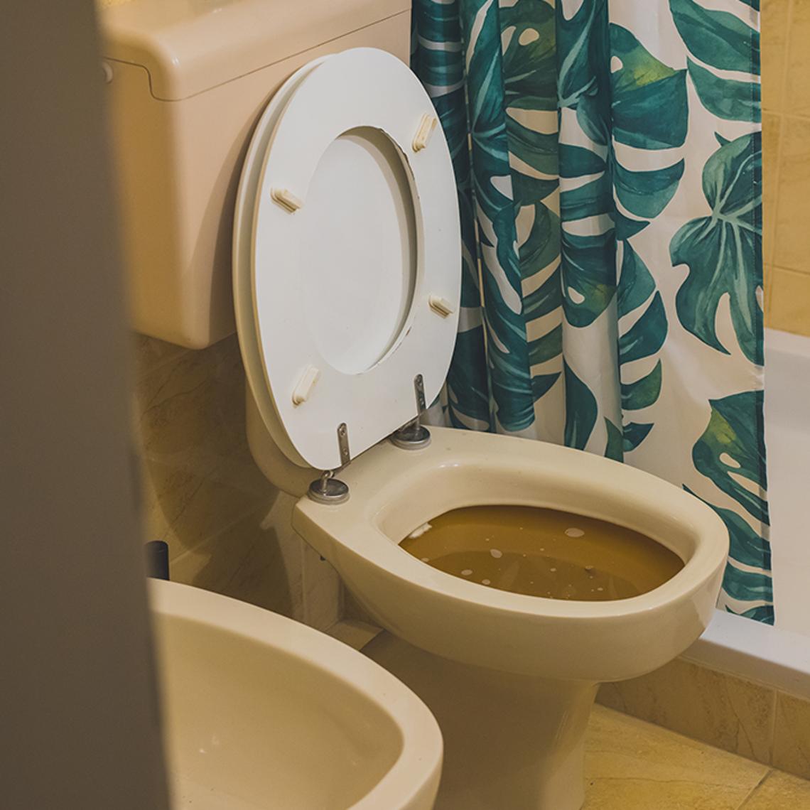 blocked toilet