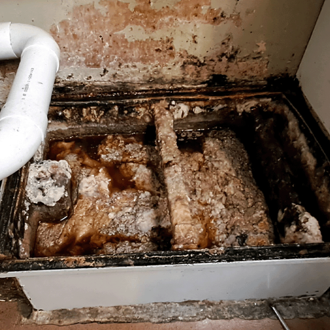 Picture of a full grease trap