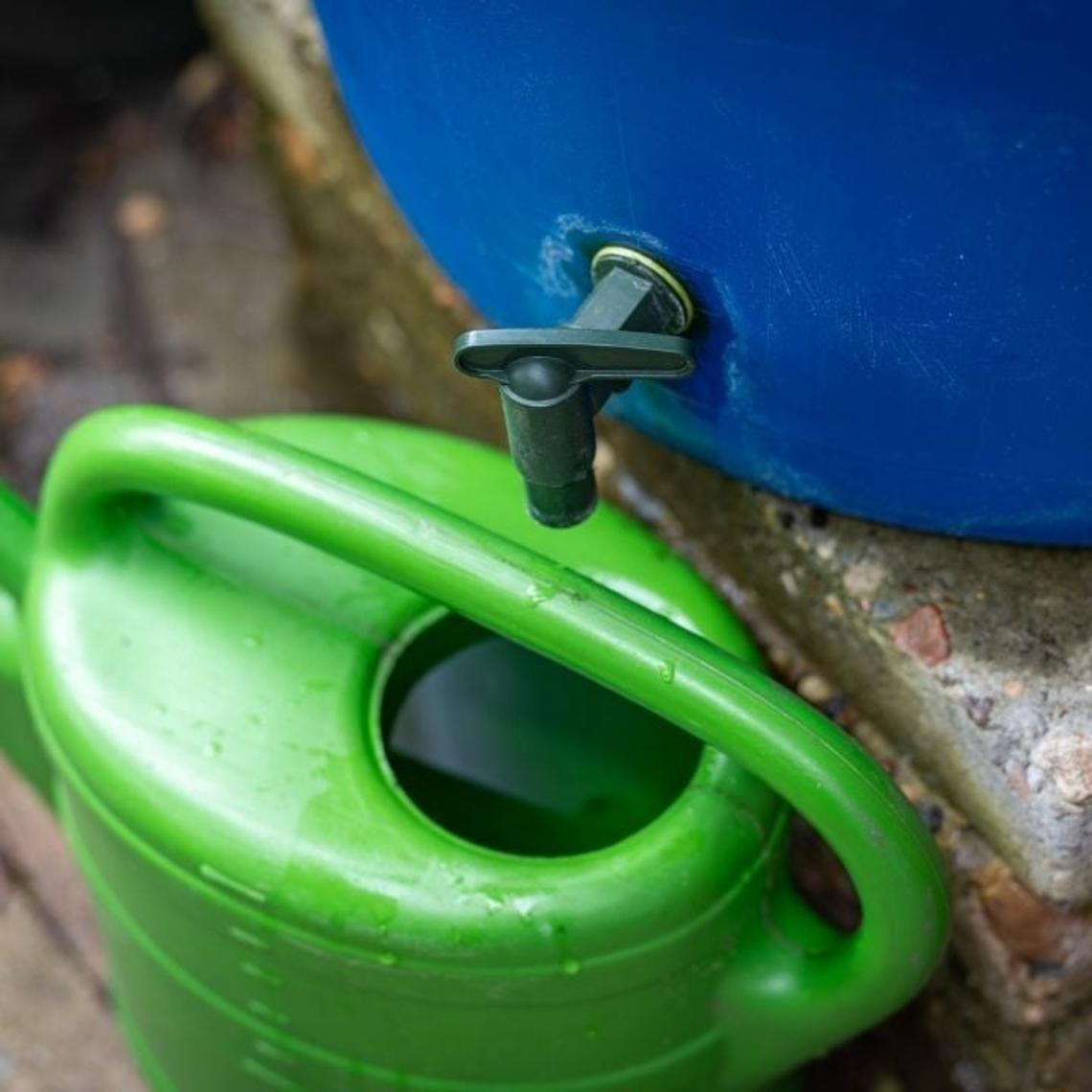 Green plastic watering can placed underneath the tap of a blue water butt