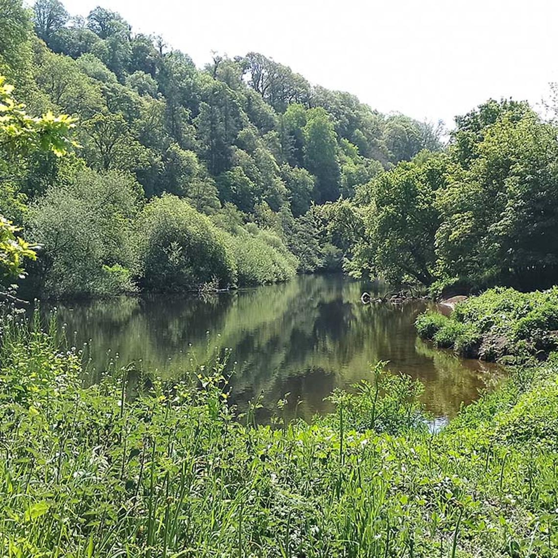 River Dart