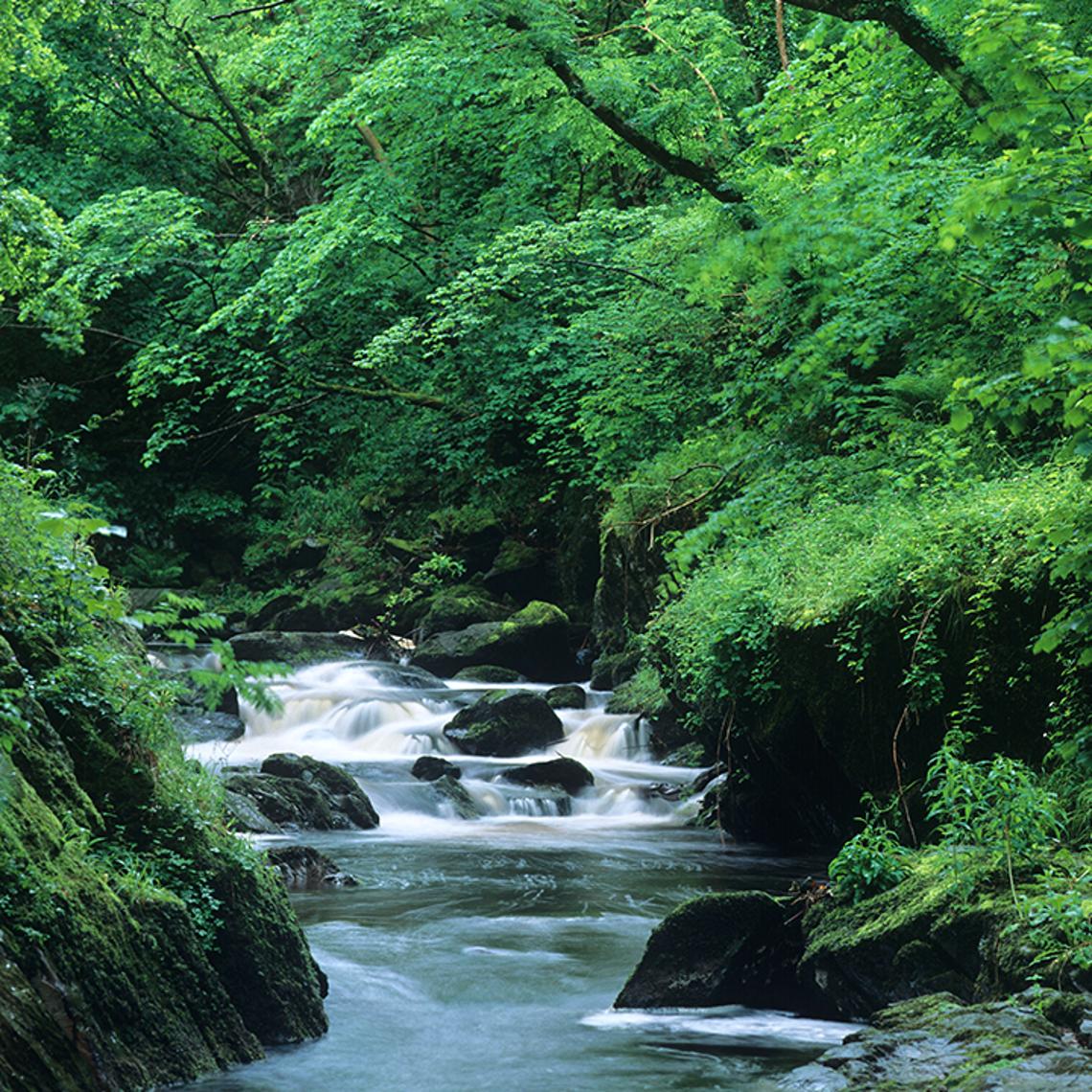 Image of a river with water cascading over rocks
