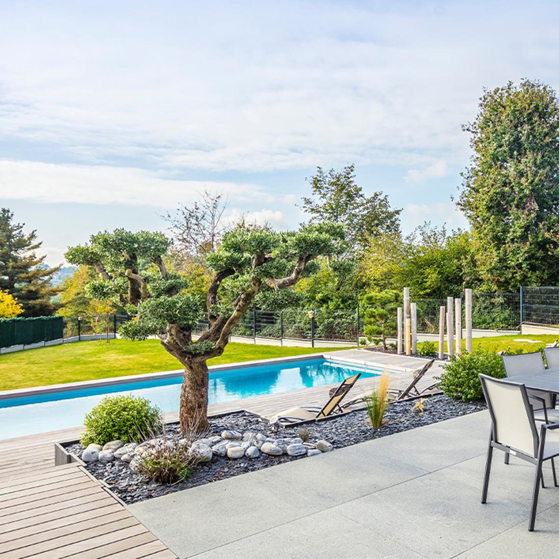 A garden with a swimming pool in it
