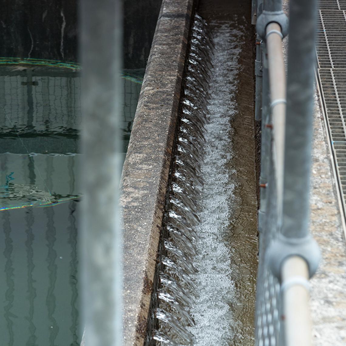 Settling water treatment