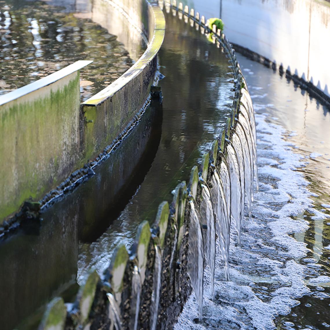 Waste water treatment settling phase