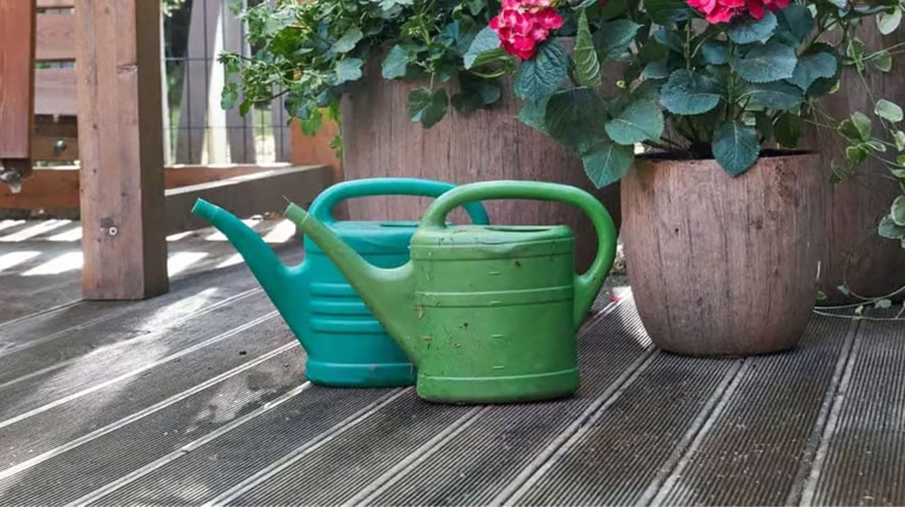 Two watering cans