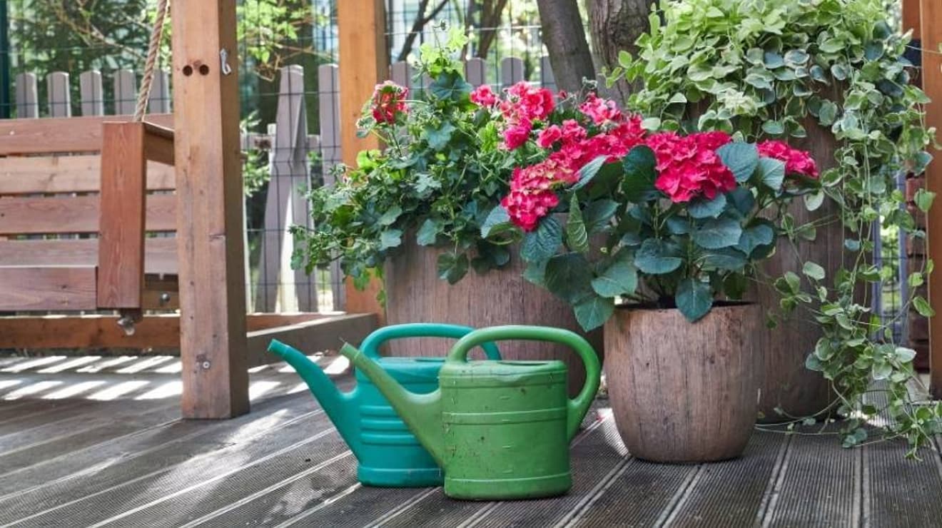 A green and a turquoise watering can placed on garden decking with wooden flower pots in the background
