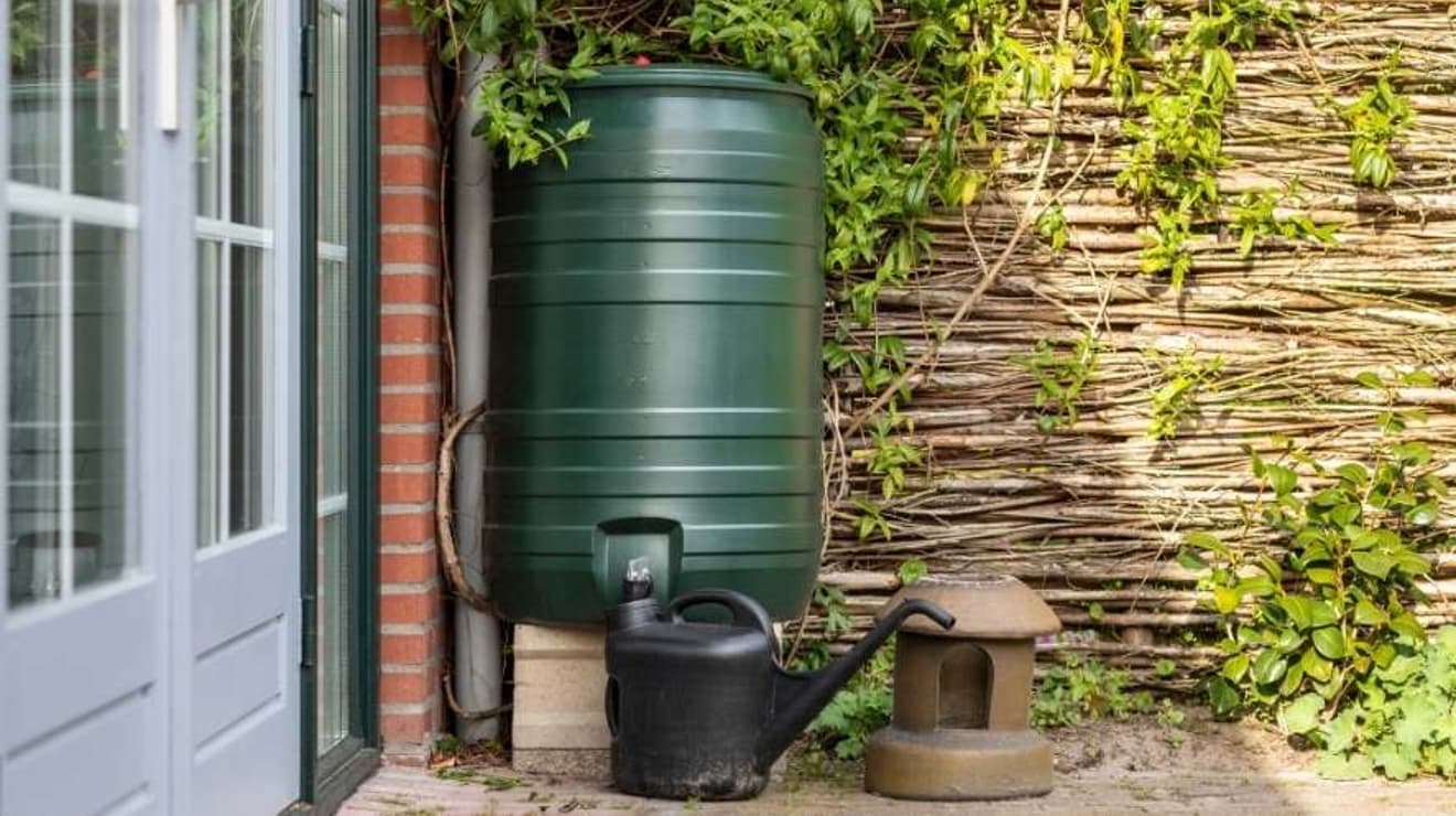 Water butt fill a watering can in a garden on the patio