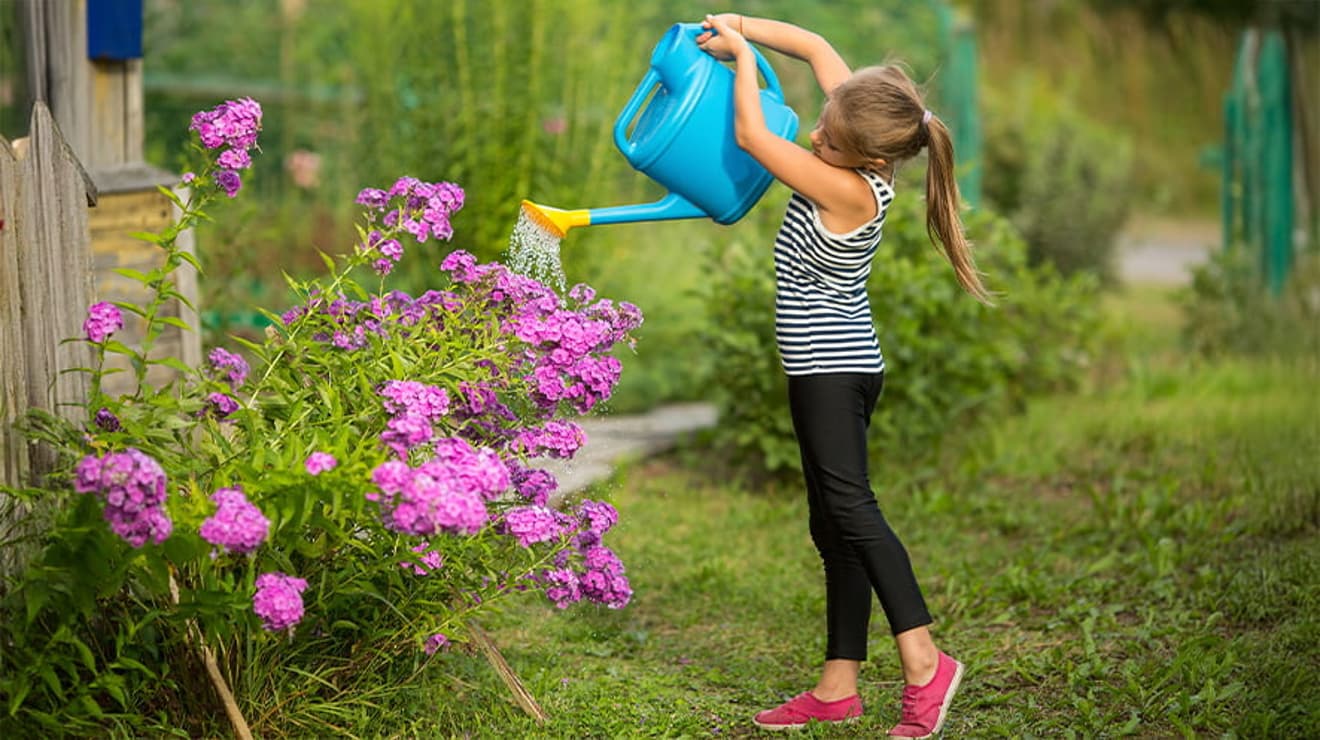 Young girl using a watering can in her garden wearing a stripy top and pink shoes