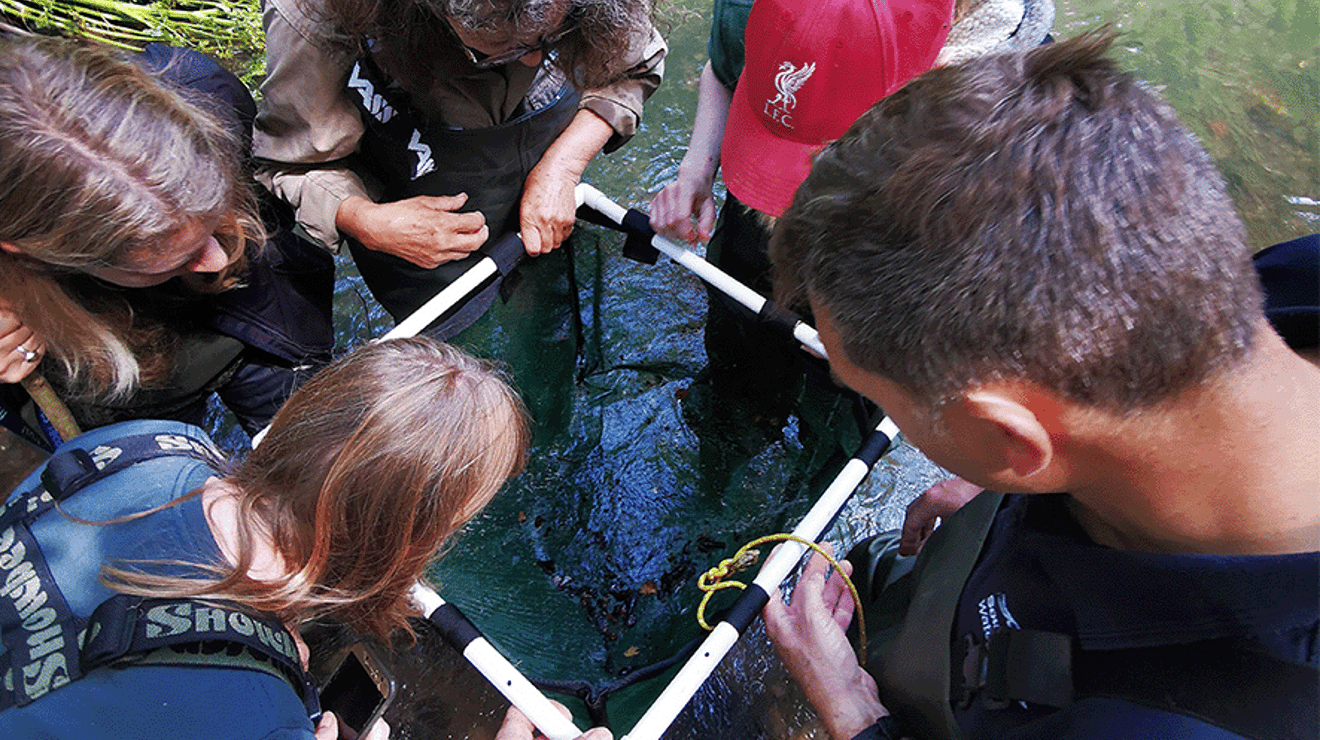 Biodiversity team surveying