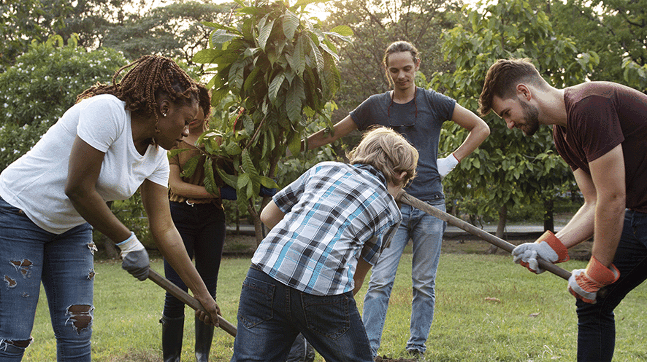 Picture of a group of people planting a tree 