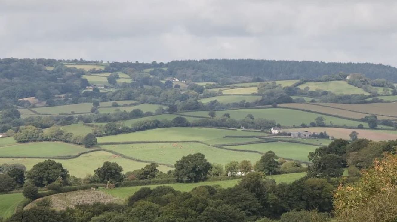 Fields of farmland with a little white house in the distance