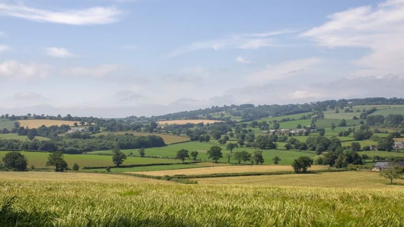 Landscape of rolling countryside across the Blackdown Hills