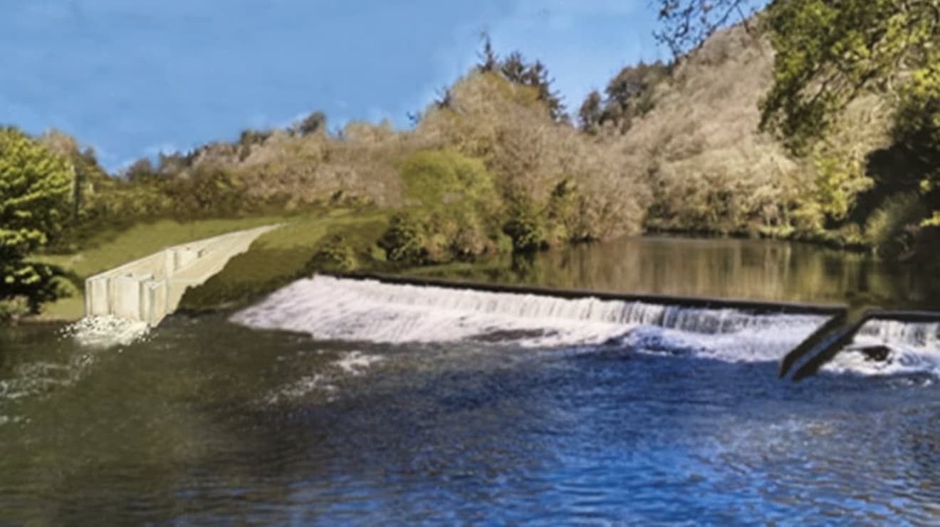 gunnislake_fish_pass_double.jpg