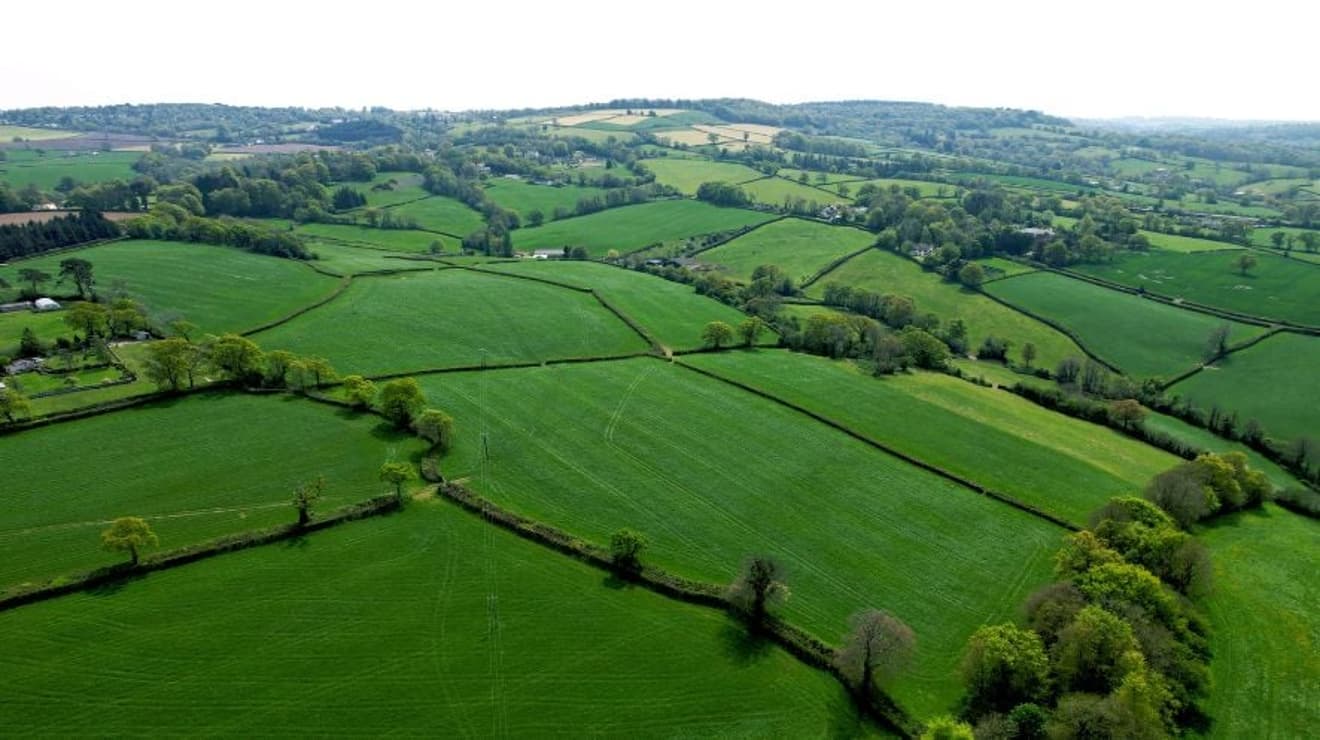 A green landscape of fields in the Devon countryside