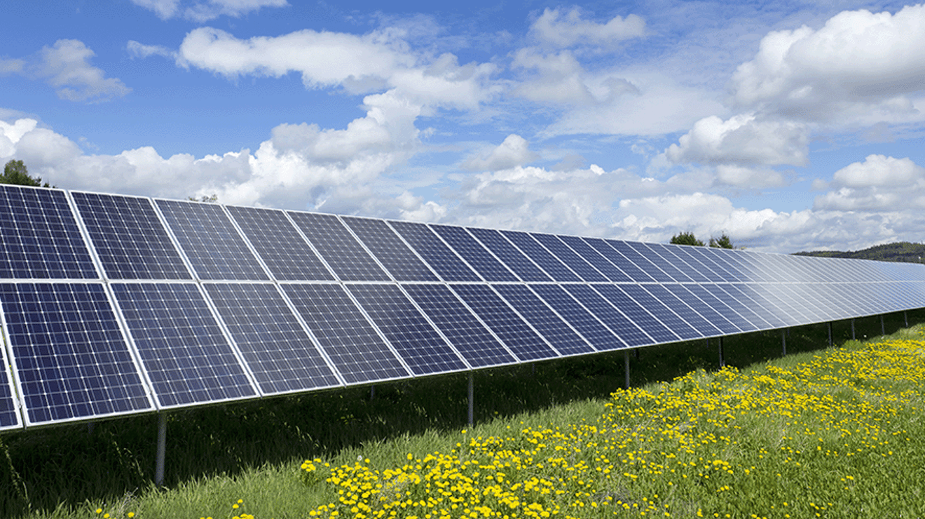 Solar panel farm