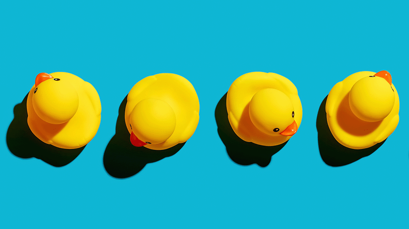 Yellow rubber ducks on a bright blue background