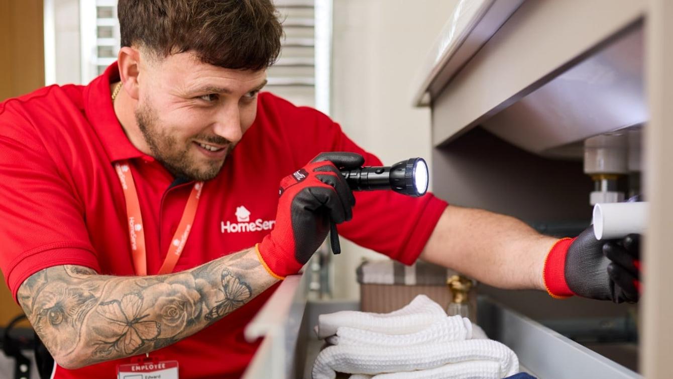 Plumbing and drainage cover image