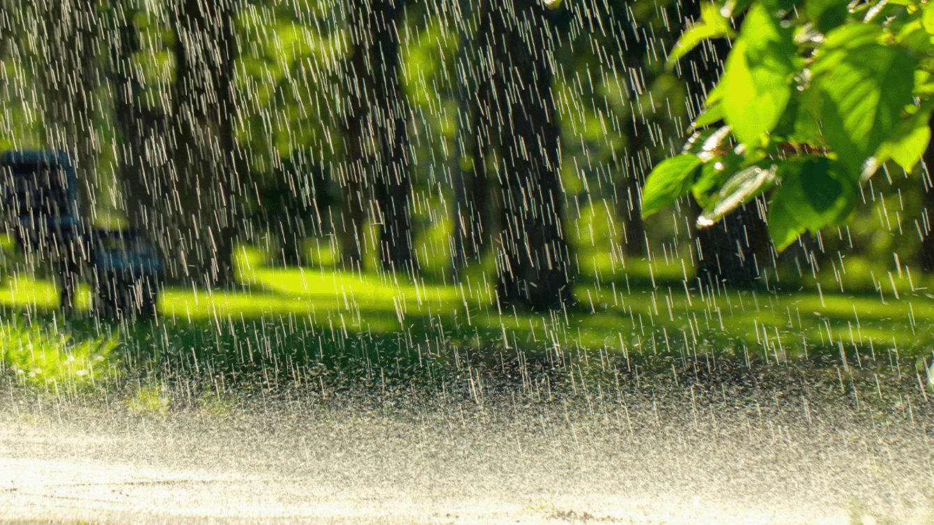 Learn about the journey of water image