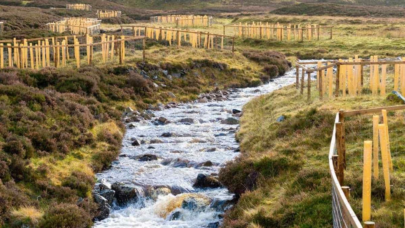 Nature Recovery Fund Applications Now Open image