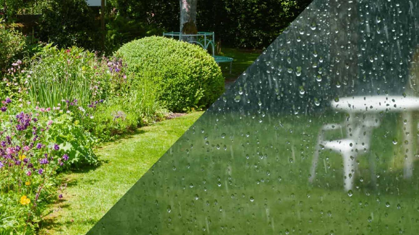 Every Drop Counts image
