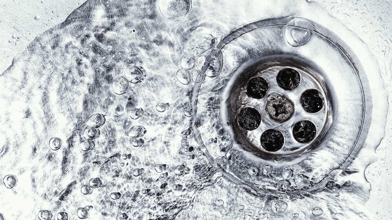 From drain to sea image