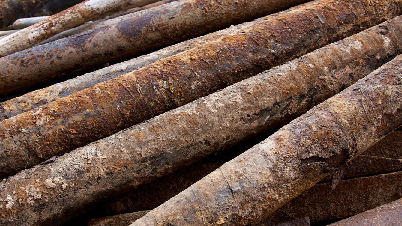 Is lead harmful to health? image
