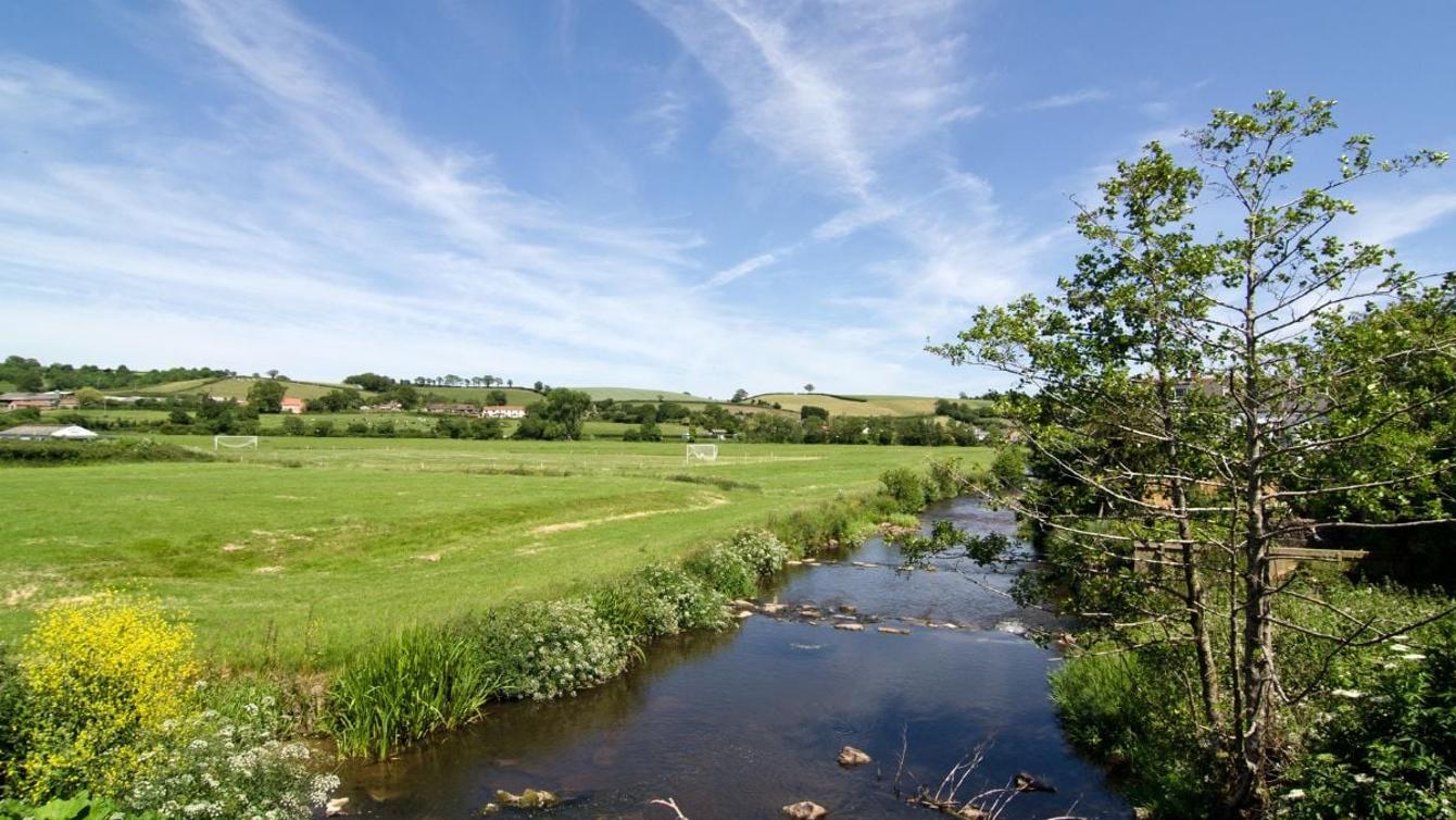 Colyton – Mains Renewal image