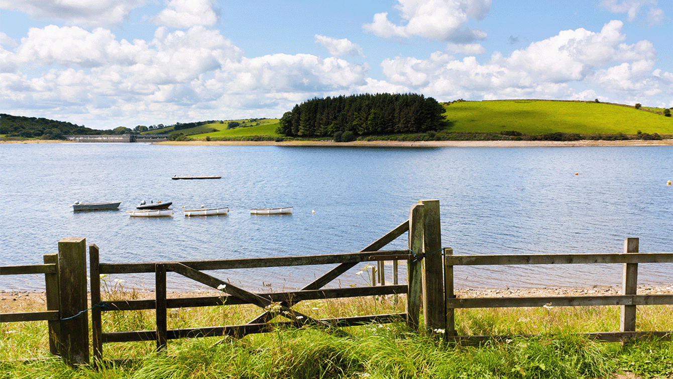 Water resources market opportunites image