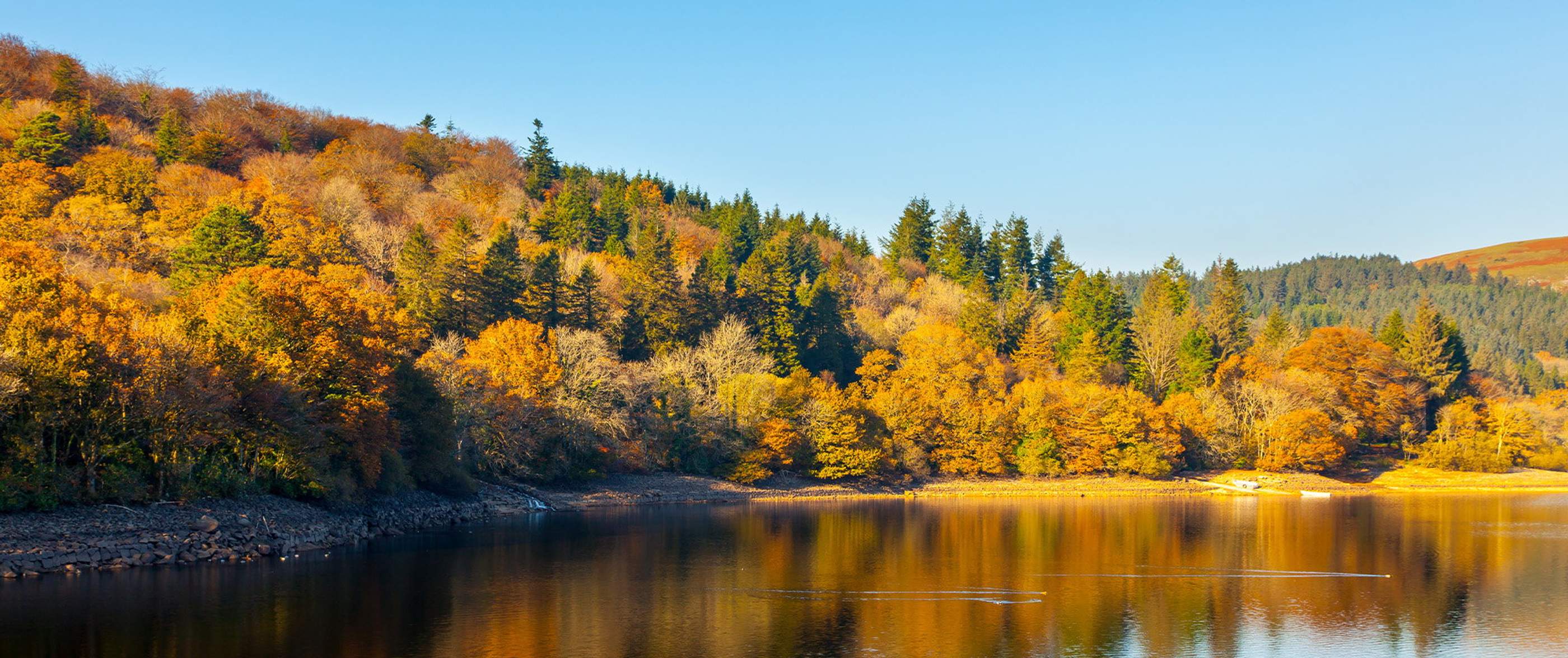 Background image for homepage hero
