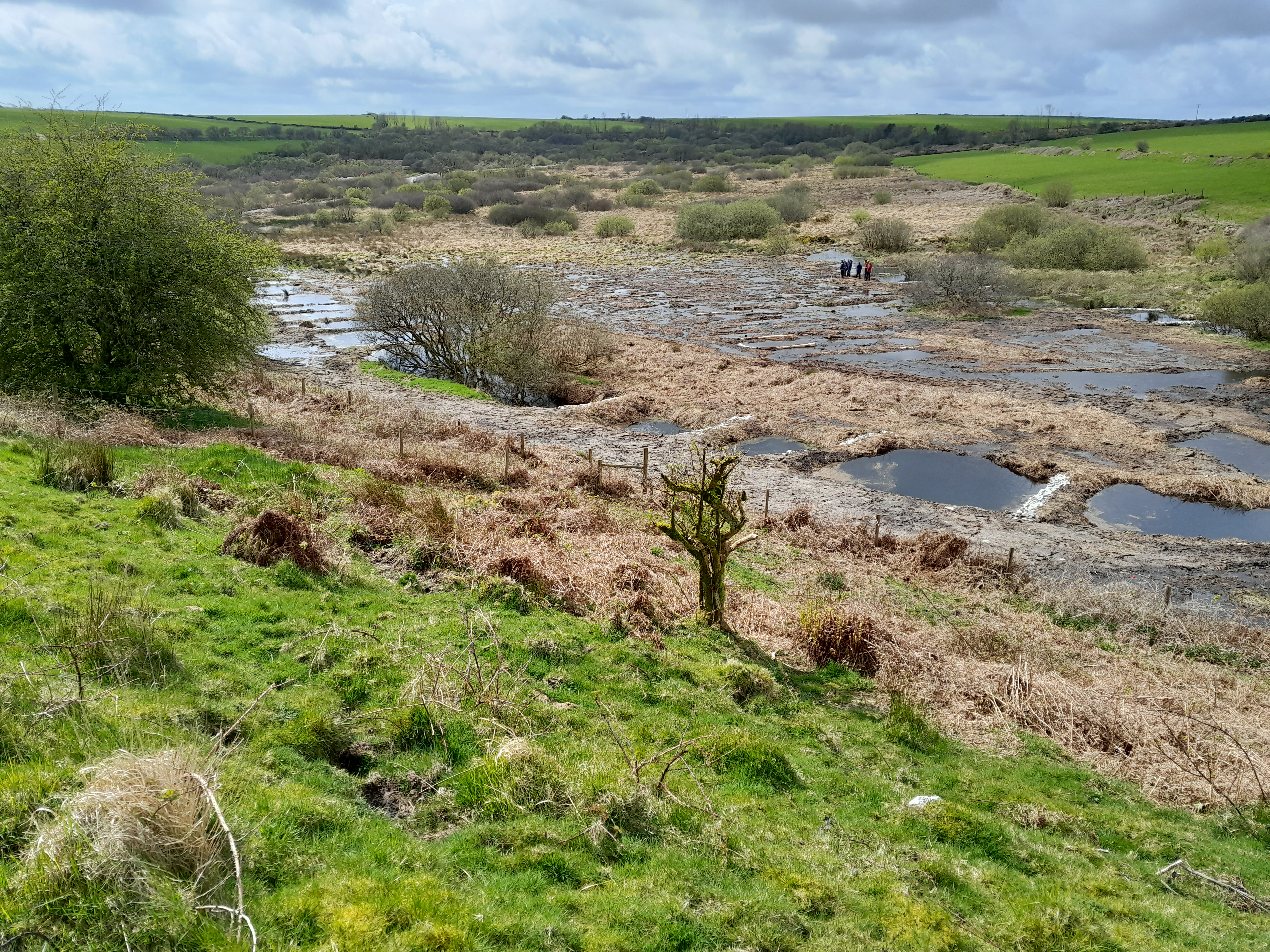Image of peatland