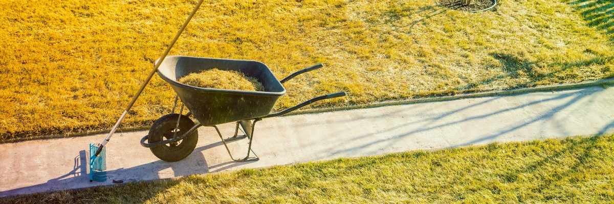 Wheelbarrow filled with grass cuttings next to a lawn