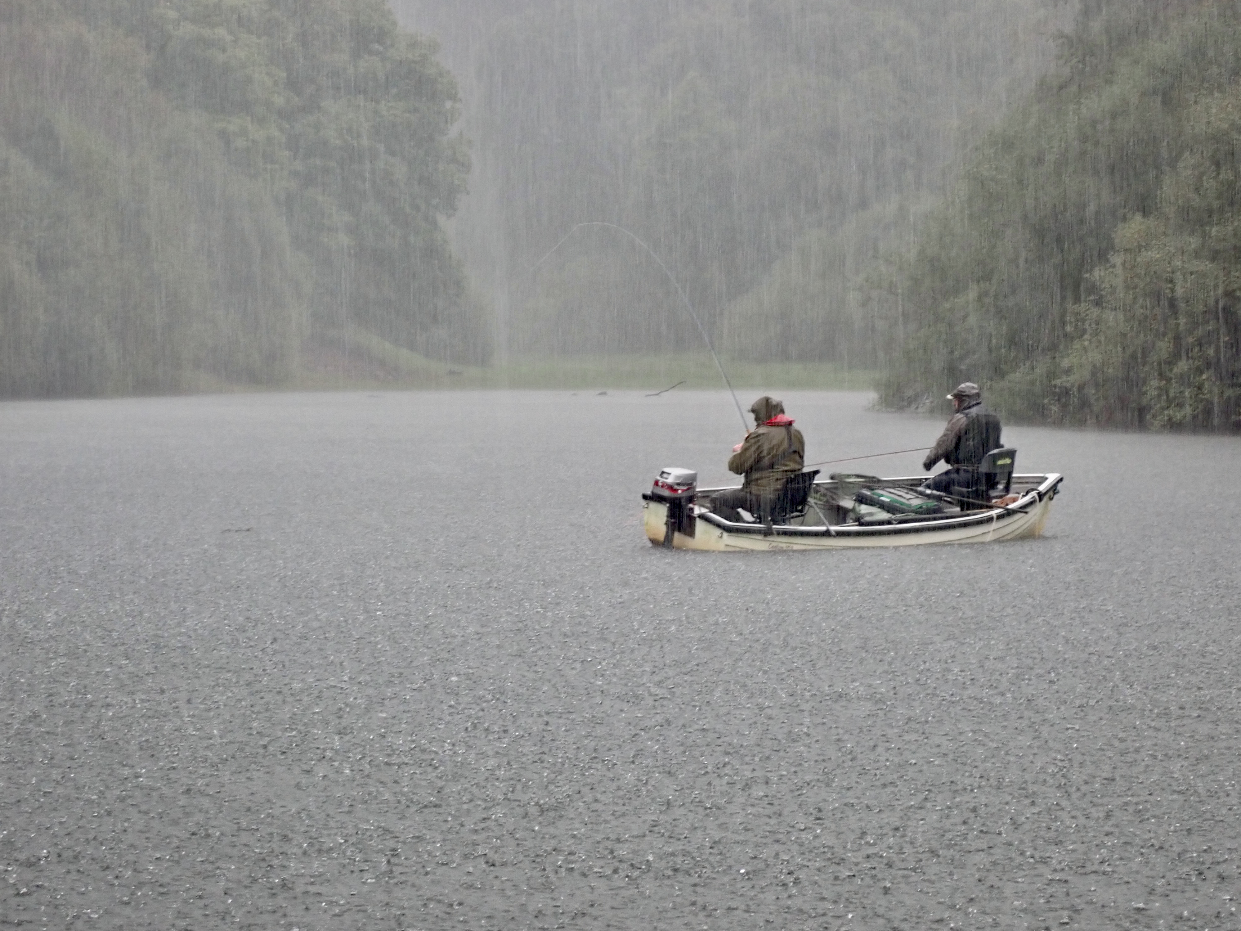 Wimbleball