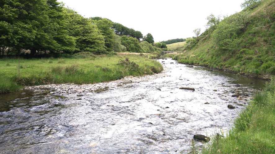 river in the countryside
