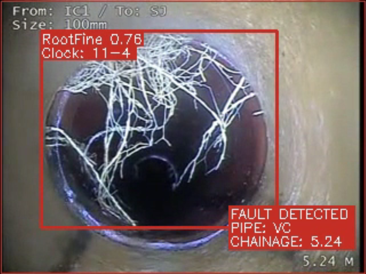roots in network pipe