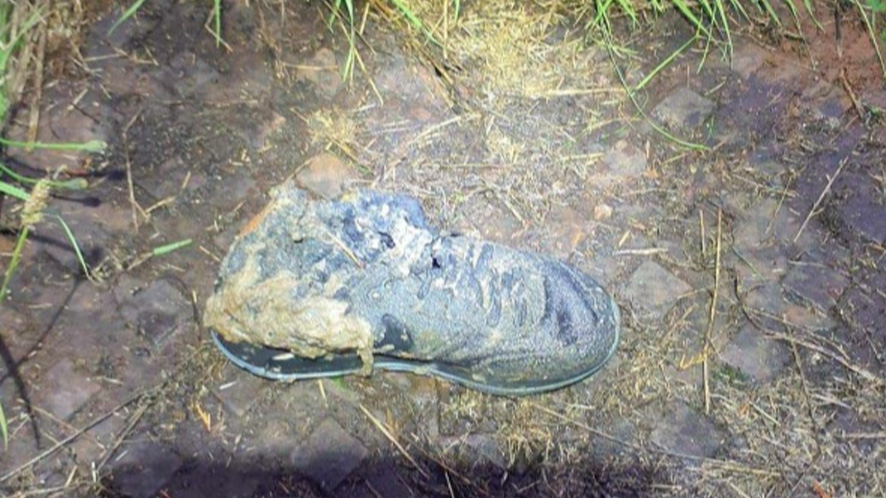 Sewer found in a sewer