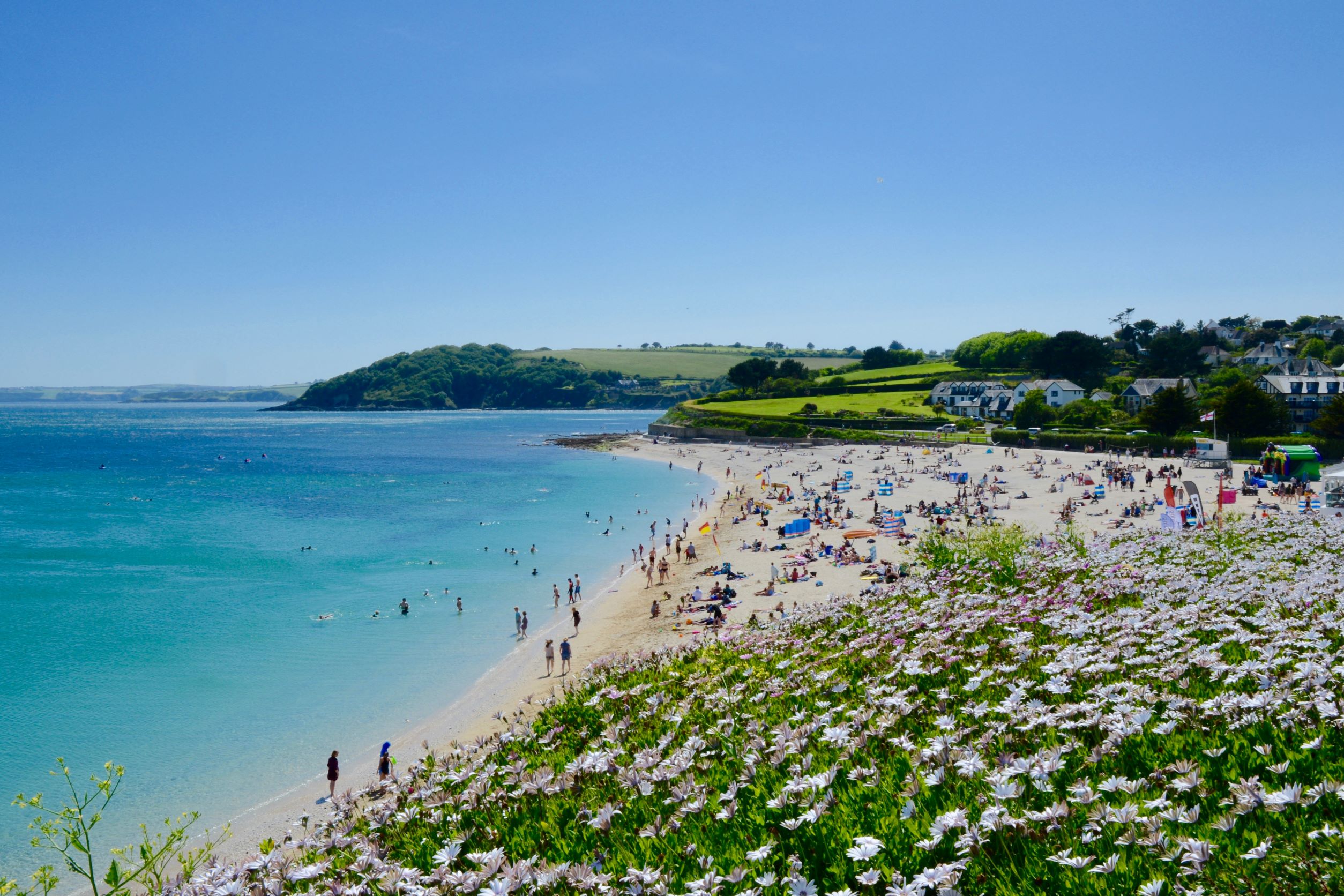 an image of a beach
