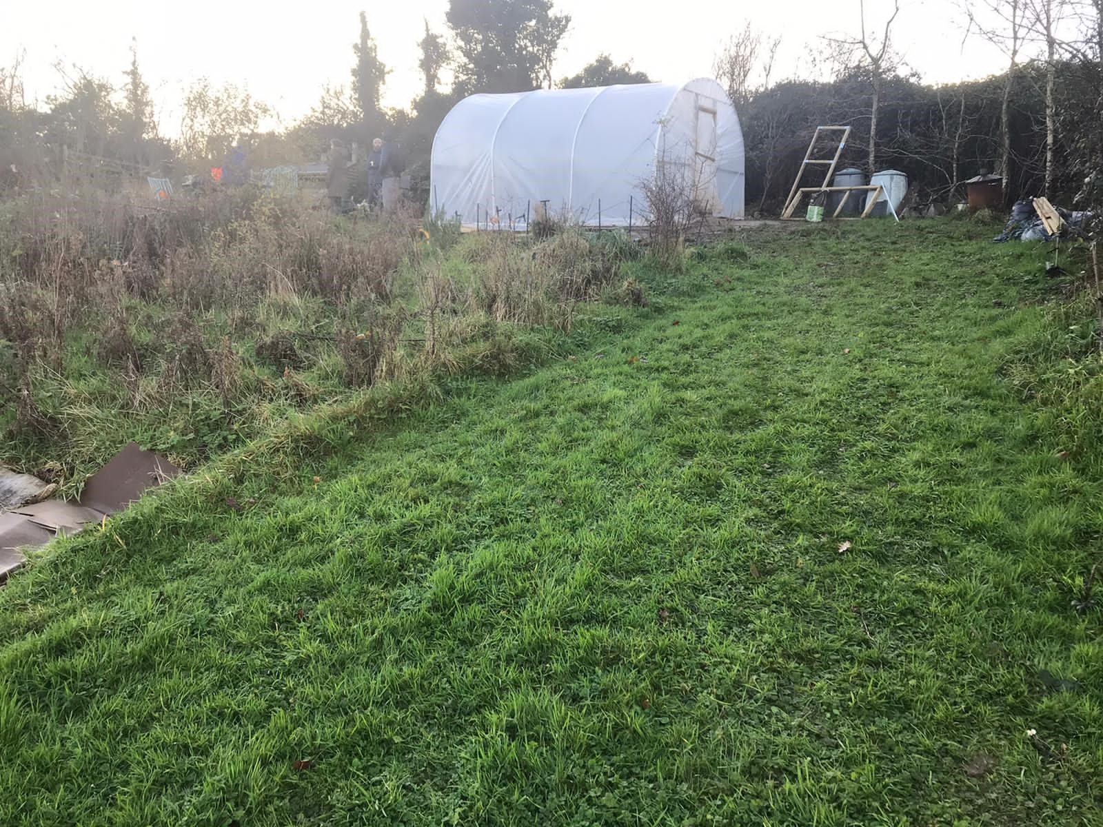 an image of the grass area