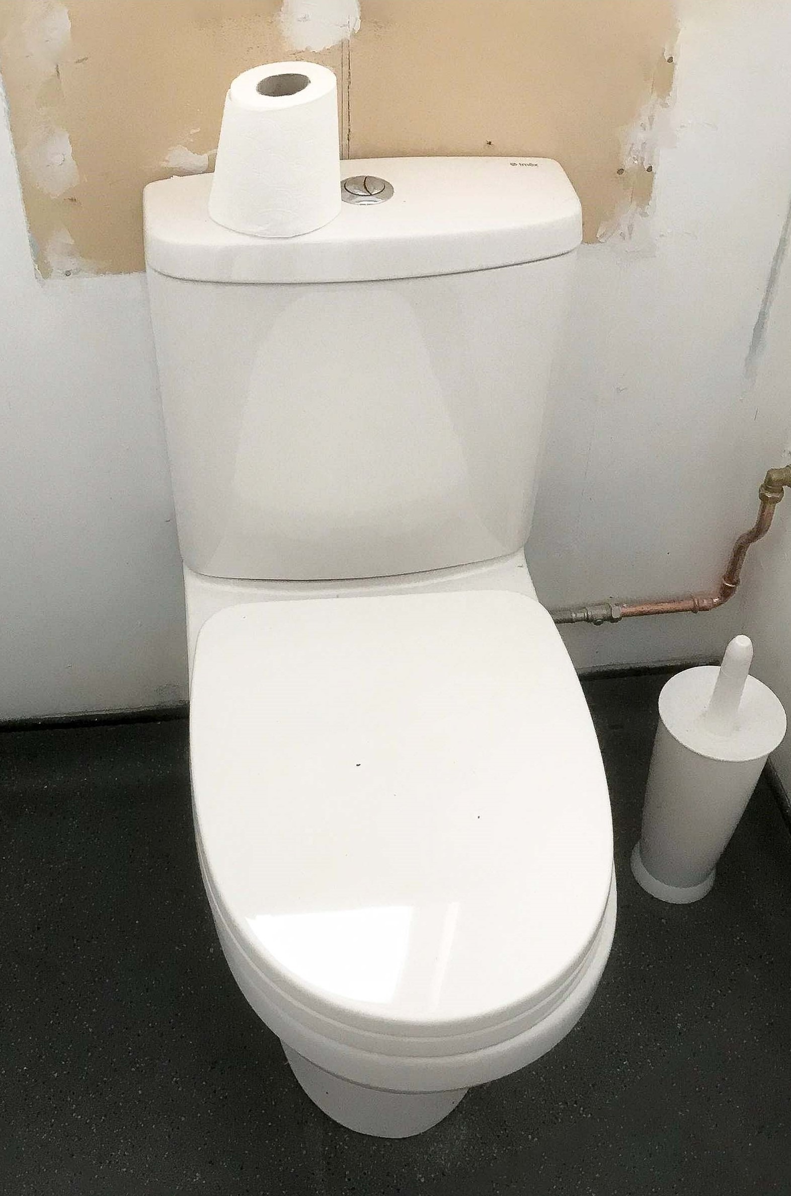 an image of the new toilet