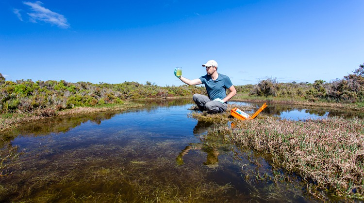 an image of a man staring intently at some water